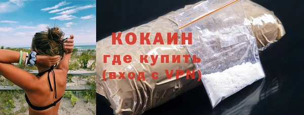 ECSTASY Бородино