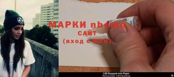 ECSTASY Бородино
