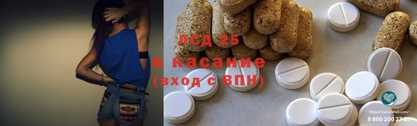 ECSTASY Бородино