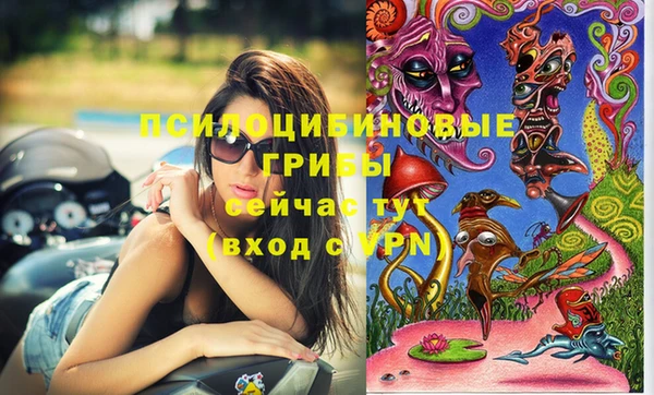 mdpv Бугульма
