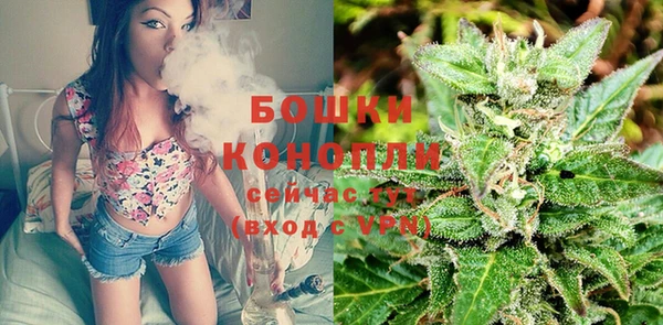 прущая мука Богородицк