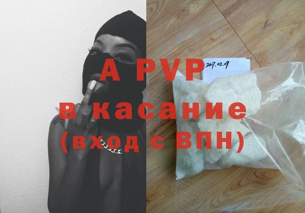 ECSTASY Бородино