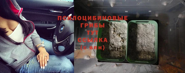 mdpv Бугульма