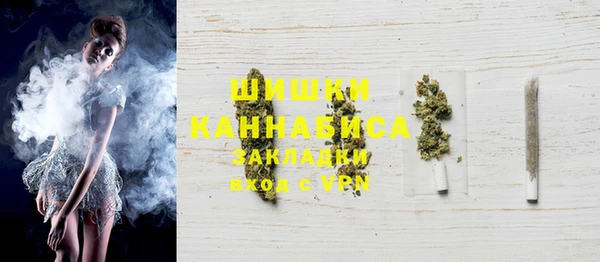 ECSTASY Бородино